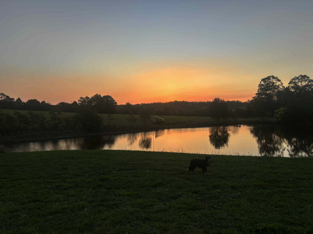 Farm Wedding Venue Dam