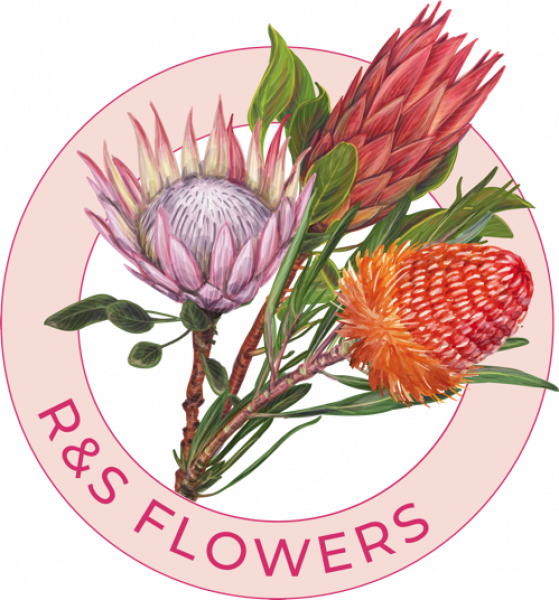 Australian Native flower wholesale